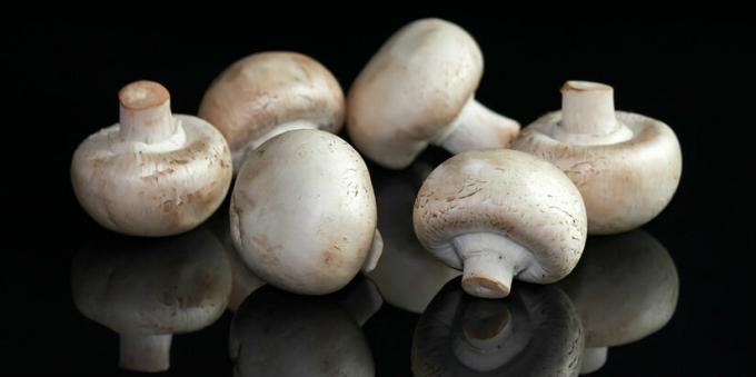 Mushrooms - champignon mushroomy