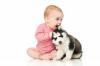 Hond en baby: de regels van wederzijdse aanpassing