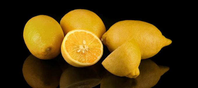 Lemon - citroen