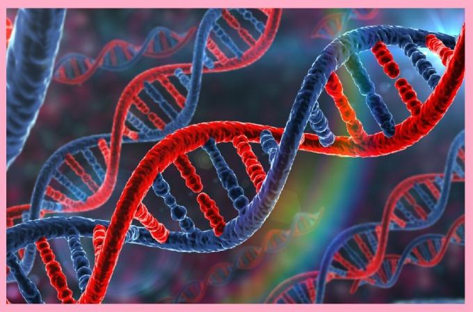 DNA-segmenten (genen) worden overgenomen, alsmede informatie die verantwoordelijk is voor de gezondheid en aanleg voor ziekte.