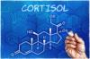 De hele waarheid over cortisol: hoe u de belangrijkste hormoon in het lichaam te ondersteunen