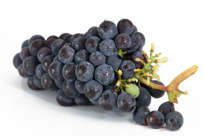 Grapes - druif