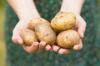 Zetmeeldieet: hoe correct en snel afvallen op aardappelen