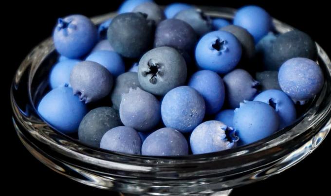Bosbessen - blueberry