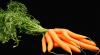 11 eigenschappen van wortel