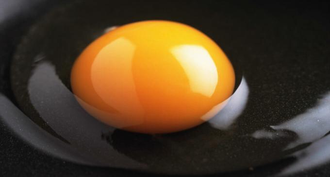 Eiwit - het wit van een ei