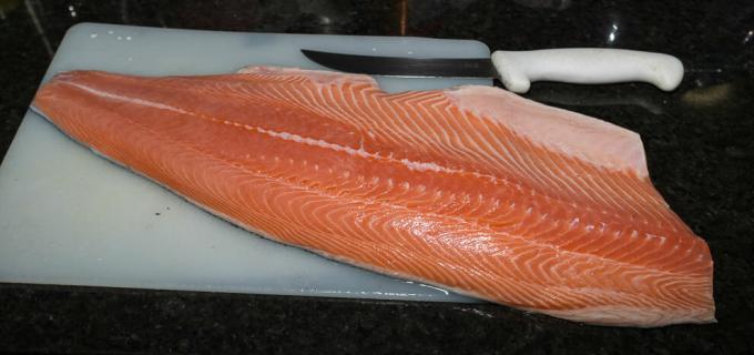Salmon - zalm