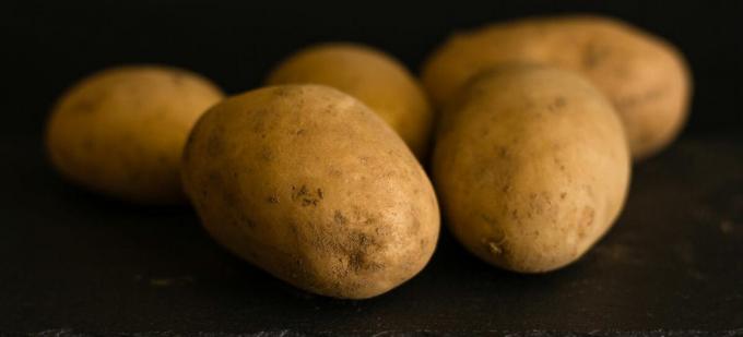 Potato - aardappel