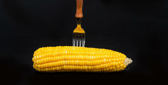 Corn - maïs