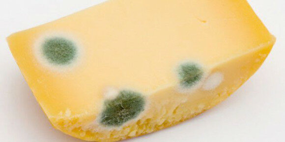 bedorven cheese