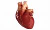 3 belangrijkste factoren die leiden tot hart-en vaatziekten