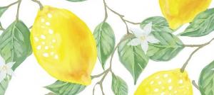 Lemon - nog steeds zure of alkalische voedingsmiddelen?