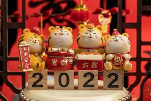 Wat te geven voor het Chinese Nieuwjaar van de Tijger?