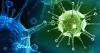 Virussen: hoe ons lichaam vecht tegen hen?