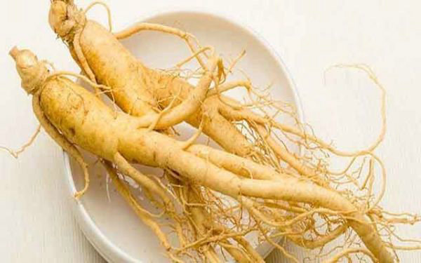 Ginseng - Ginseng