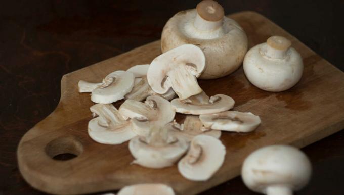 Mushrooms - paddestoelen