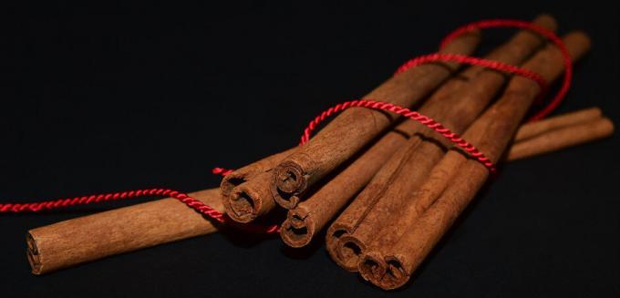Cinnamon - kaneel