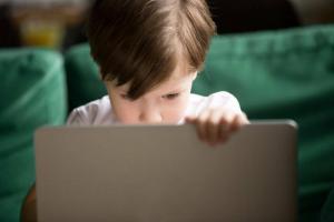Vallen in het net: TOP-10 regels voor veilig online gedrag voor kinderen