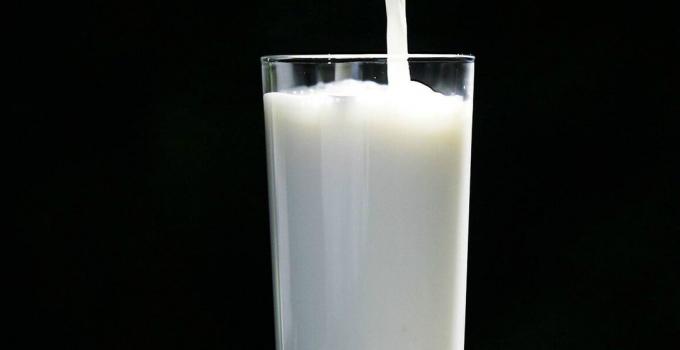 Melk -