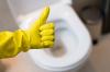 TOP-3 natuurlijke remedies voor desinfectie van een badkamer