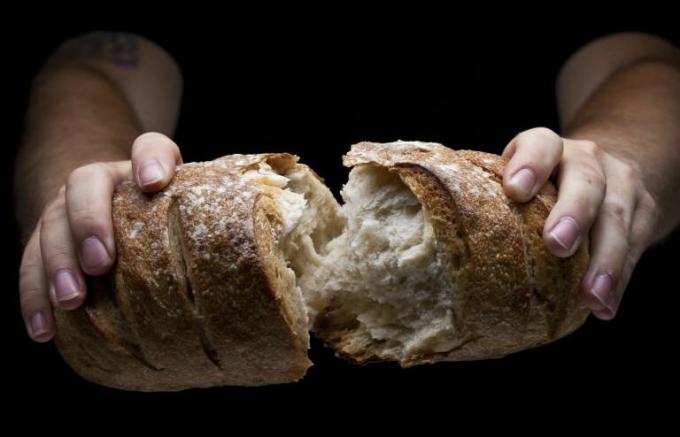 Bread - brood