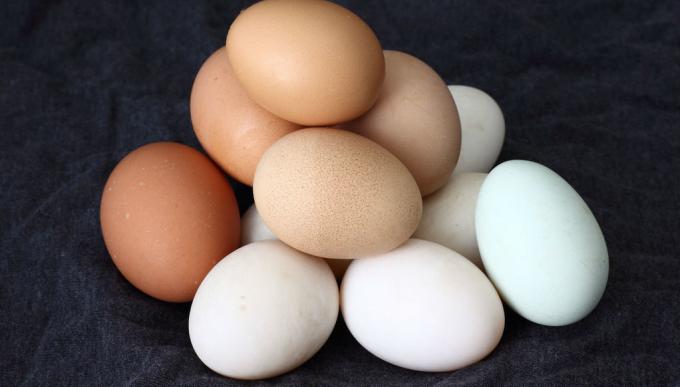 Eieren - eieren