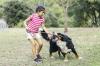 Wat te doen als een kind wordt gebeten door een hond: het antwoord van een infectieziektespecialist
