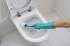 Mijn methode voor het reinigen van de toiletpot aan urine-steen en plaque