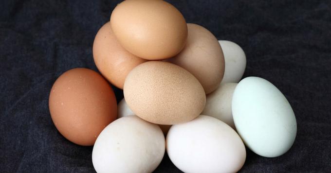 Eieren - eieren