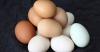 Verdreven de mythe van de controversiële schade eieren