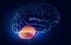 Een tumor van het cerebellum: pathologie symptomen