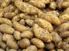 Hoe maak je een veilige aardappelen te kiezen: 13 tips