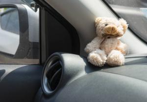 Wat moet een Oekraïense drivers dragen in de auto: als psychologisch karakteriseert menselijk