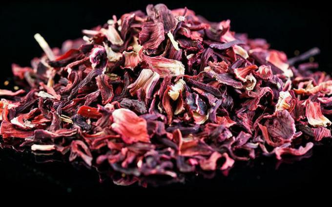 Tea hibiscus - Hibiscus thee