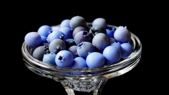Bosbessen - blueberry